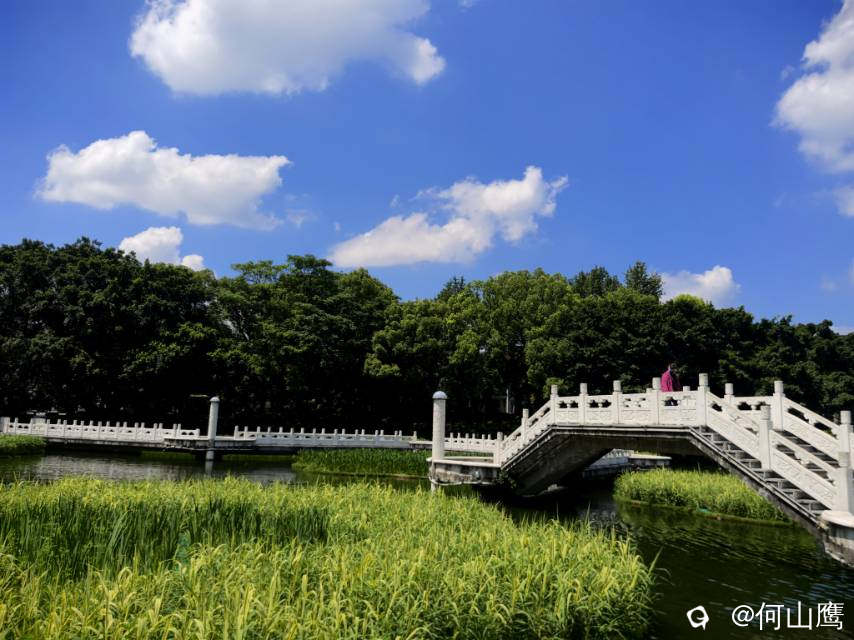 2c265c85-ba8a-5d97-bcff-6e63b4da12ad.jpg
