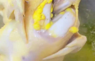 看起来是好货，但是不知道怎么吃！博主自制白切鸡求助煮鸡的汤如何吃，网友：放鸡杂、青菜、粉丝，味道绝了