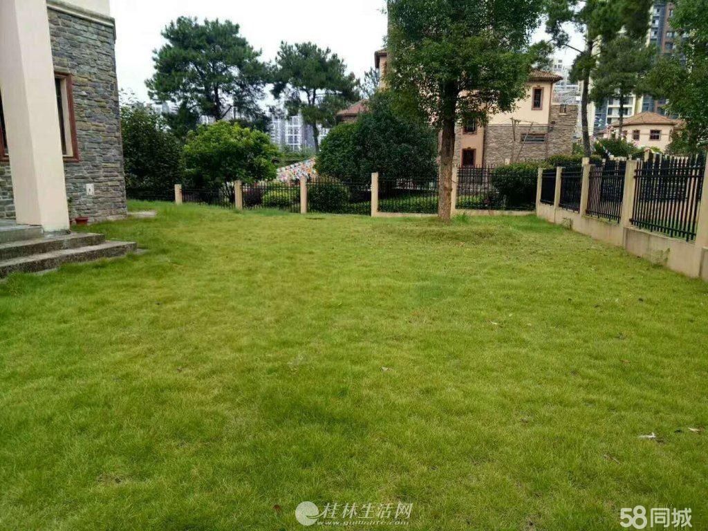 �ٹ���������ɽˮ�������������ë��ռ��895ƽ��450��
