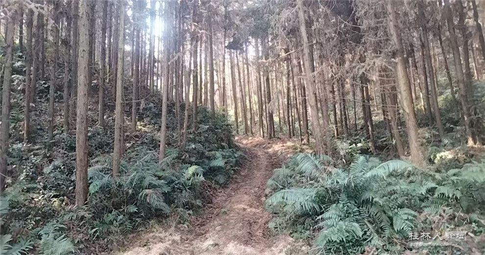 带孩子们爬山探岩洞