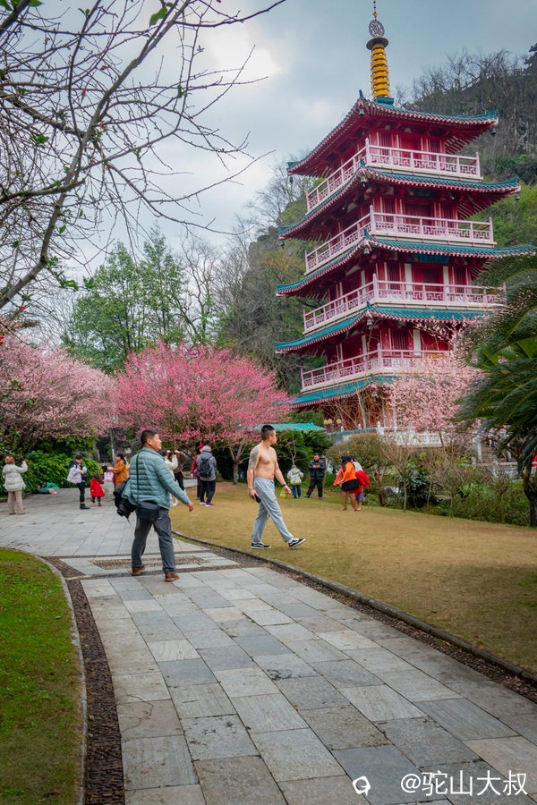 DSC05476-0_副本.jpg