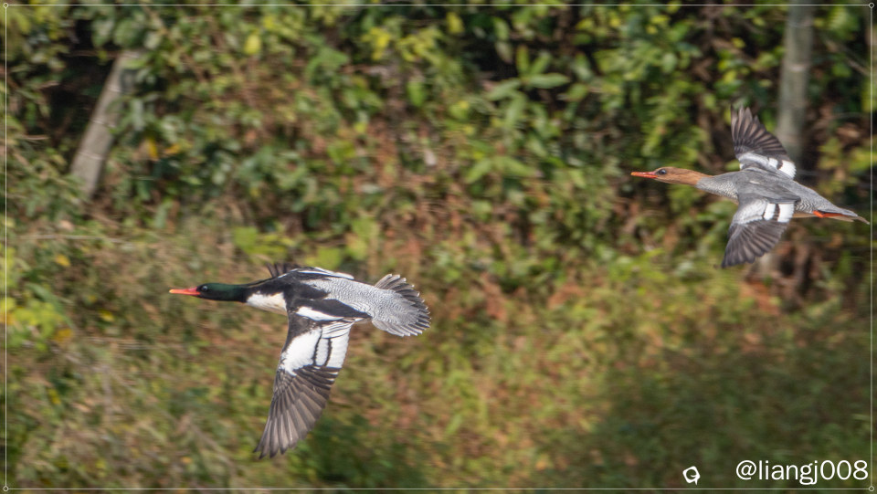 DSC01664_副本_副本.jpg