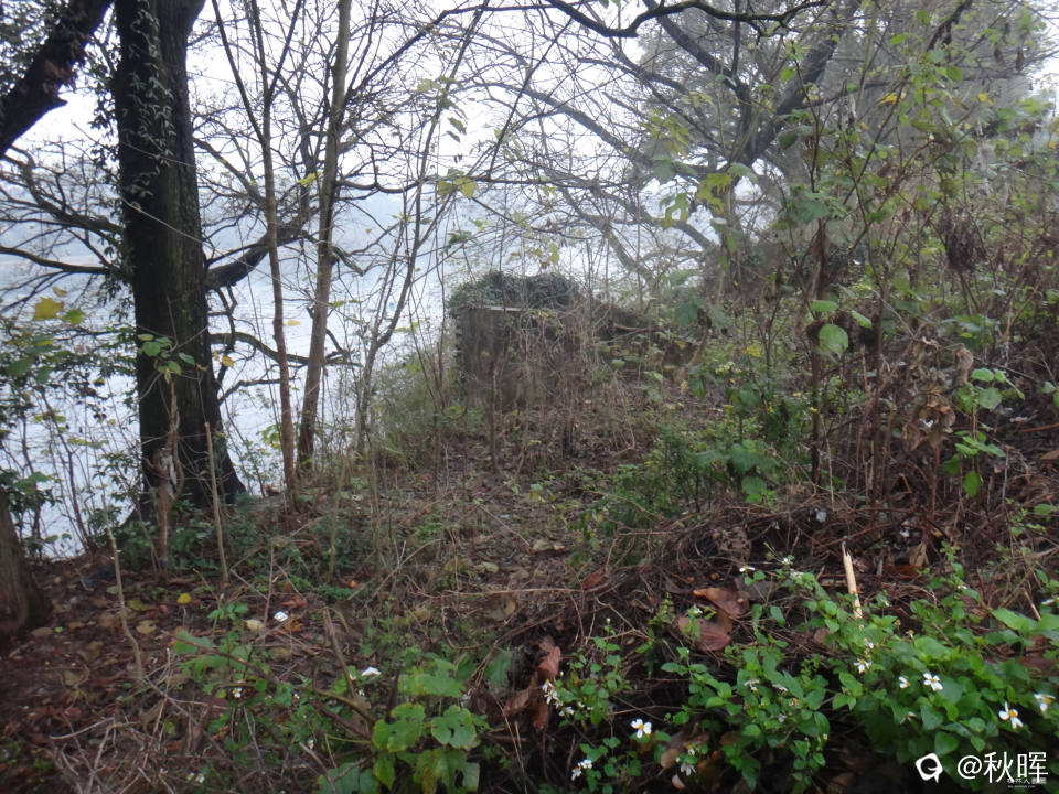DSC07344.JPG