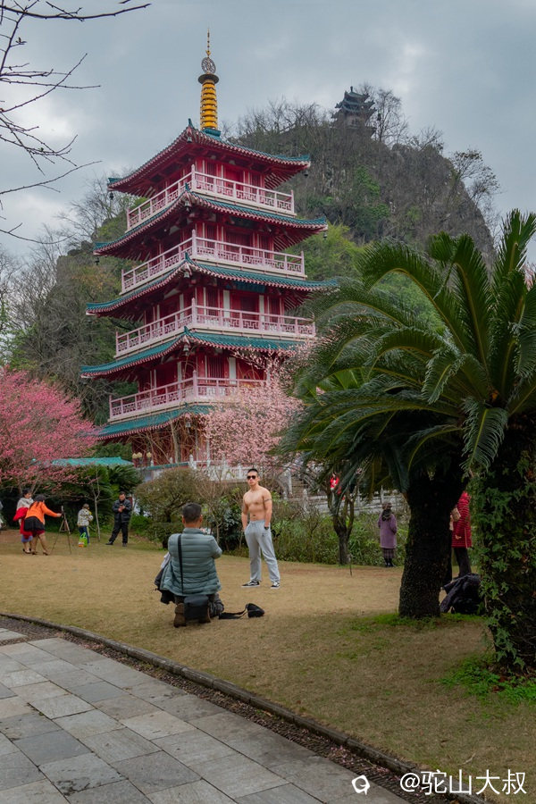 DSC05478-0_副本.jpg