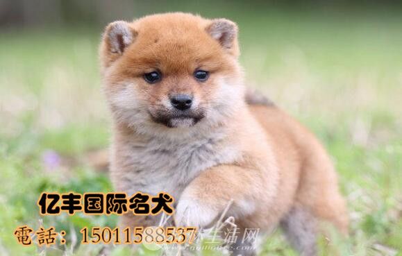 ���۴��ֲ�Ȯ ������Ȯ����Ǯ �ڷ�Ȯ��