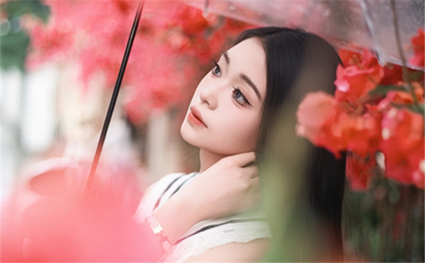 雨落三角梅花正開