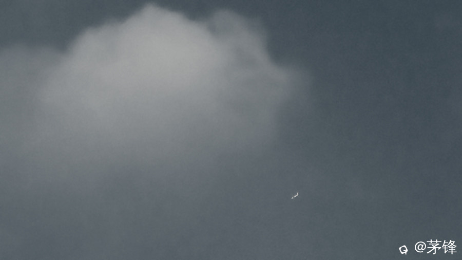 DSCF0936-5.jpg