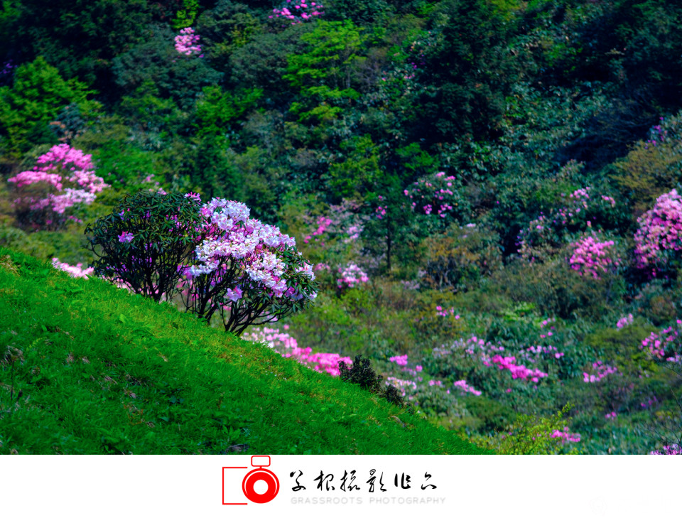 _DSF4979 拷贝_副本.jpg