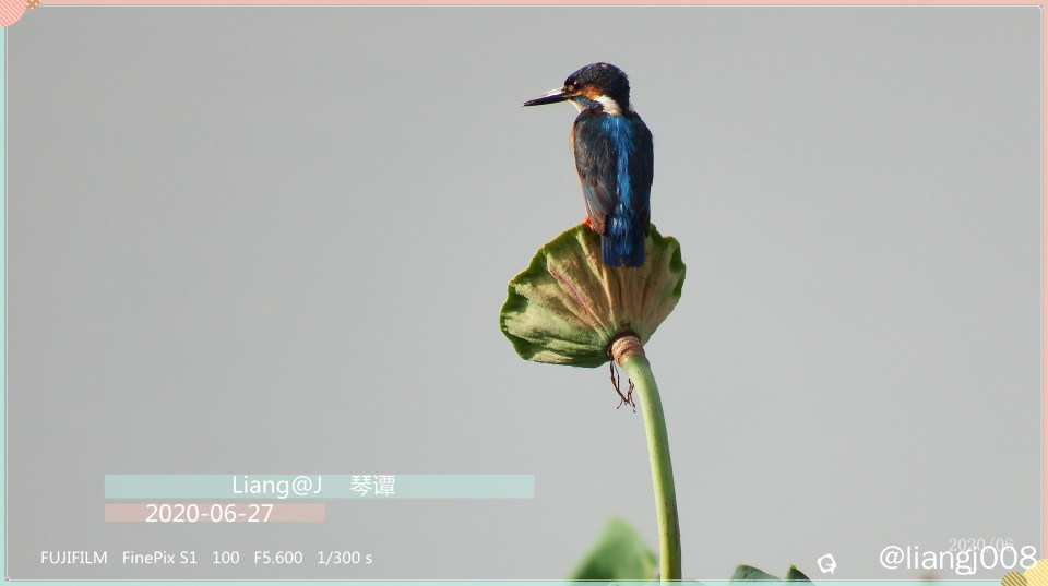 微信图片_20200712083130_副本_副本.jpg