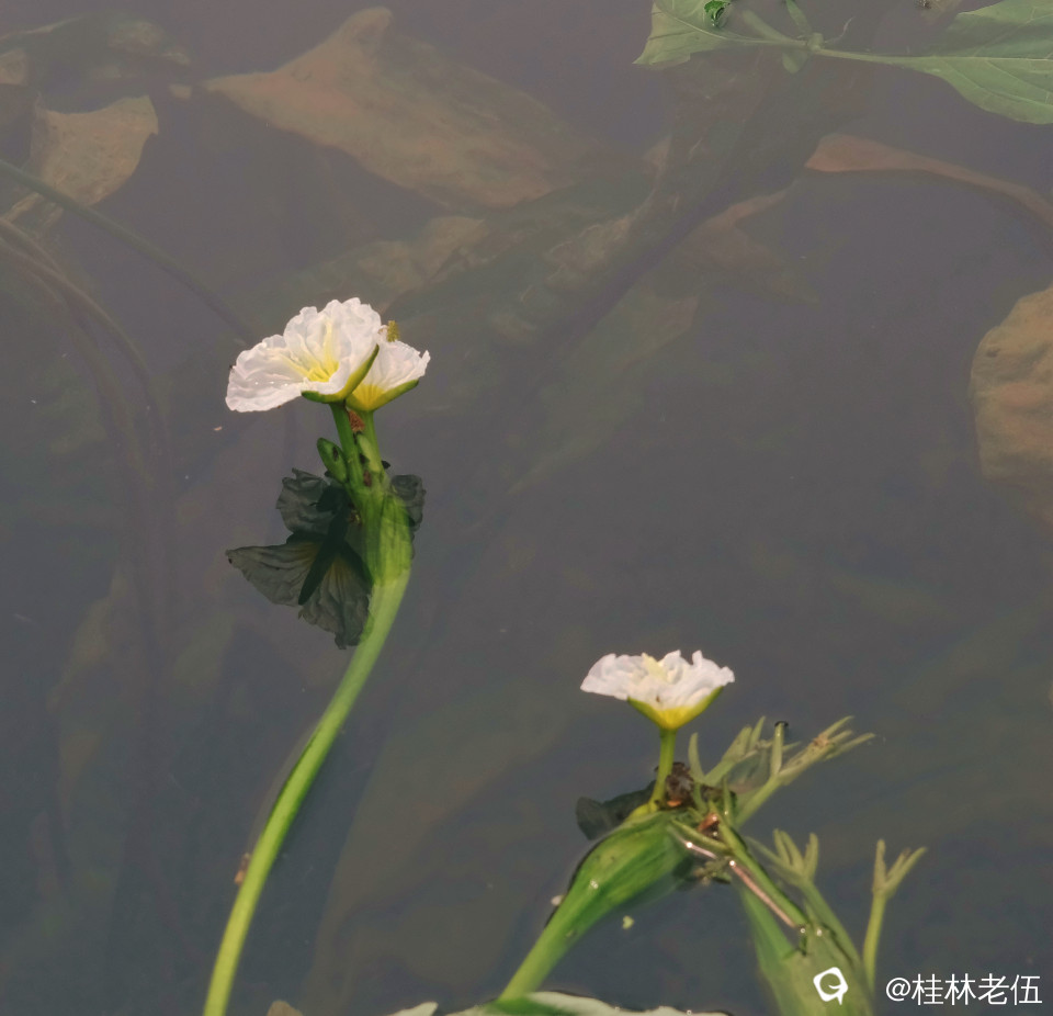 DSCF0191_副本.jpg
