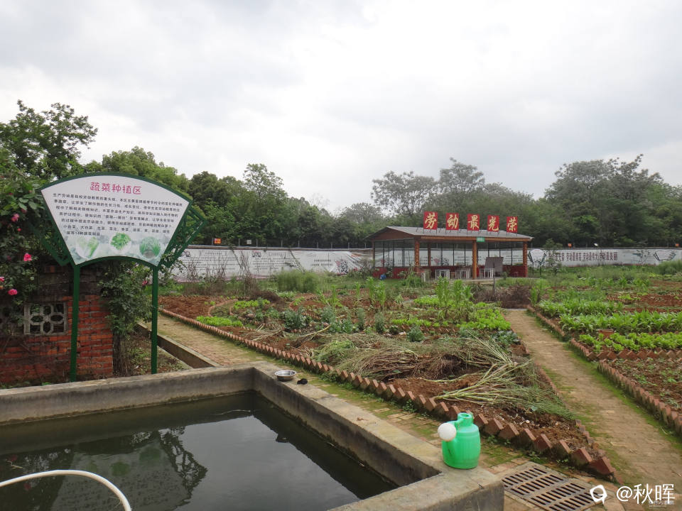 DSC08247.JPG