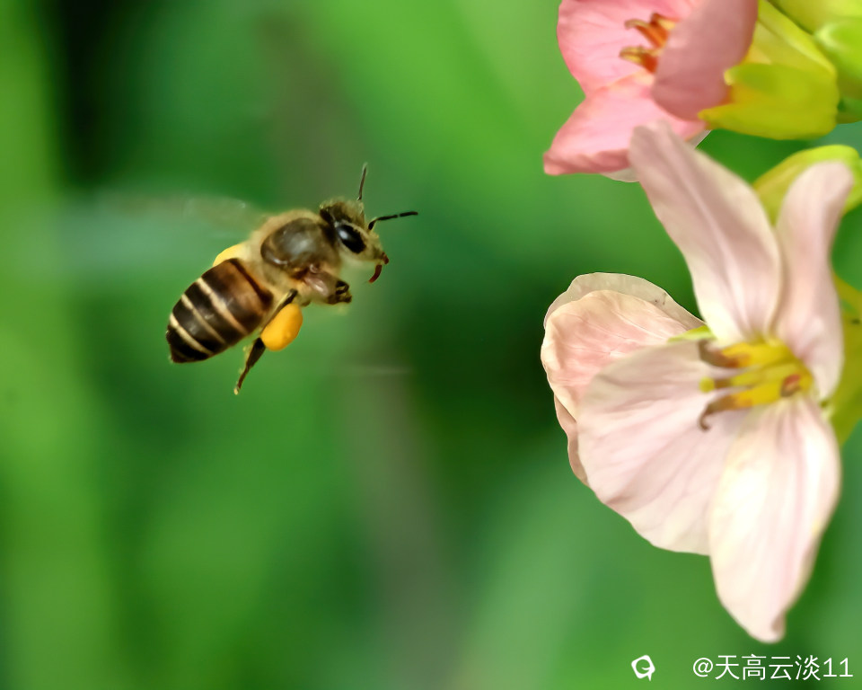 5D2A1670-DeNoiseAI-clear.jpg