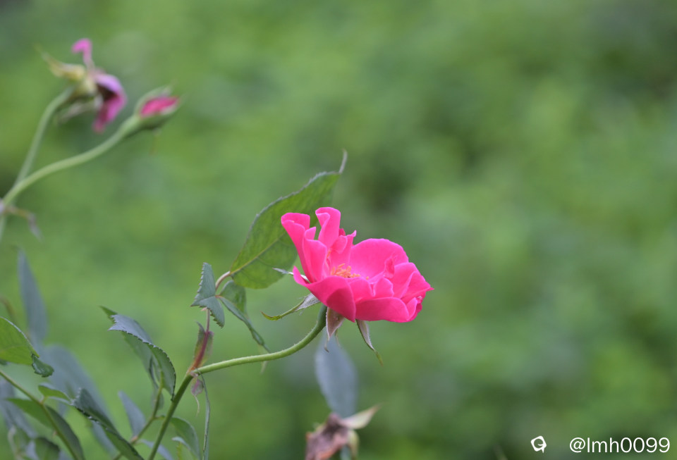 DSC_6033_副本.jpg