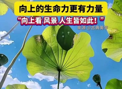向上的生命力更有力量