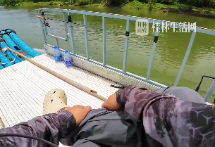 我可什么都没动啊 是它跳上来找我的这可不怪我了 网友：鱼都看不下去了 怕你空军回家不好交代