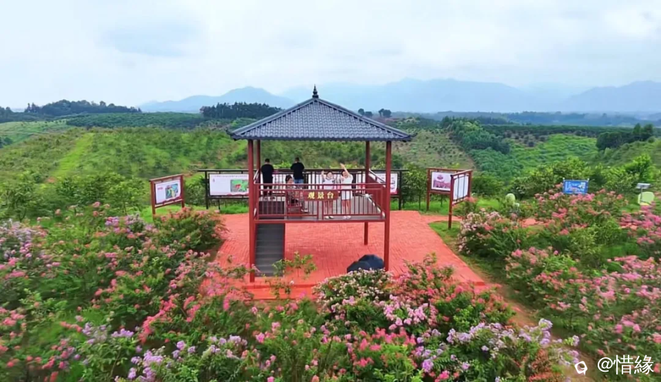 截图202408201953039169.png