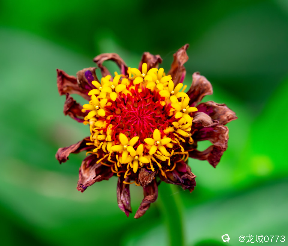 1X4A5835.jpg