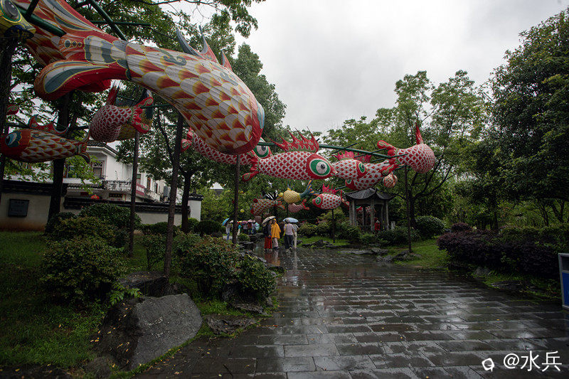 IMG_6098 拷贝.jpg