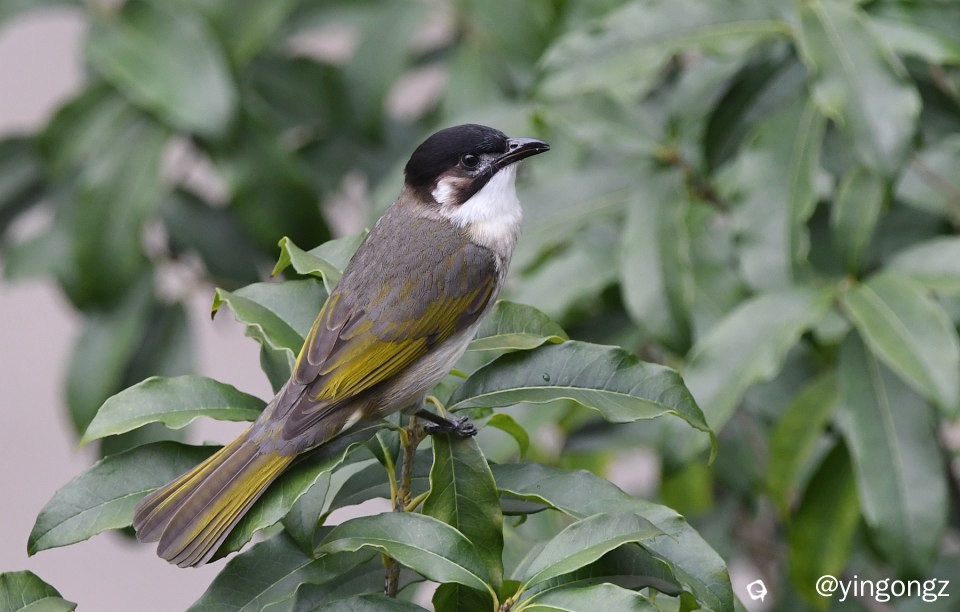 DSC_9081_副本.jpg