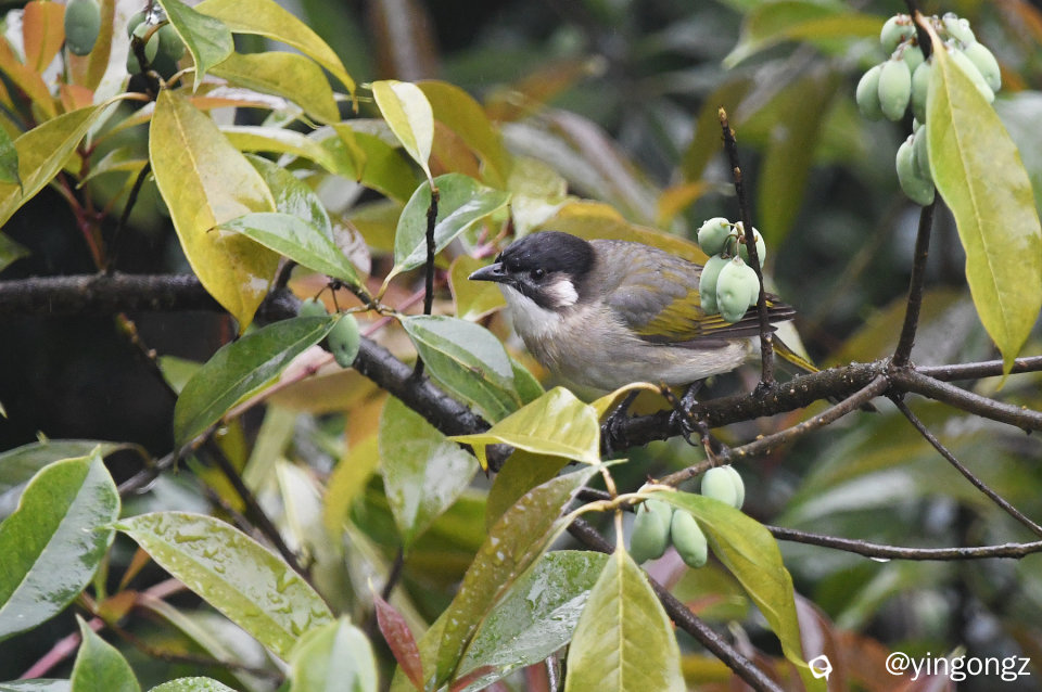 DSC_5790_副本.jpg