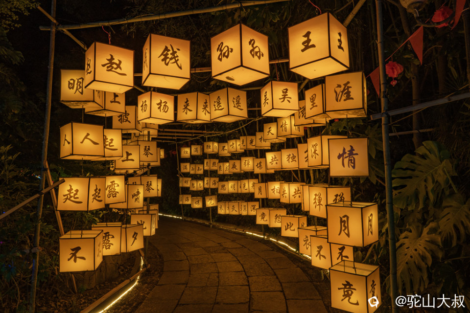 DSC04903-0 - 副本.jpg