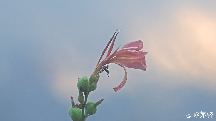 DSCF8859.jpg