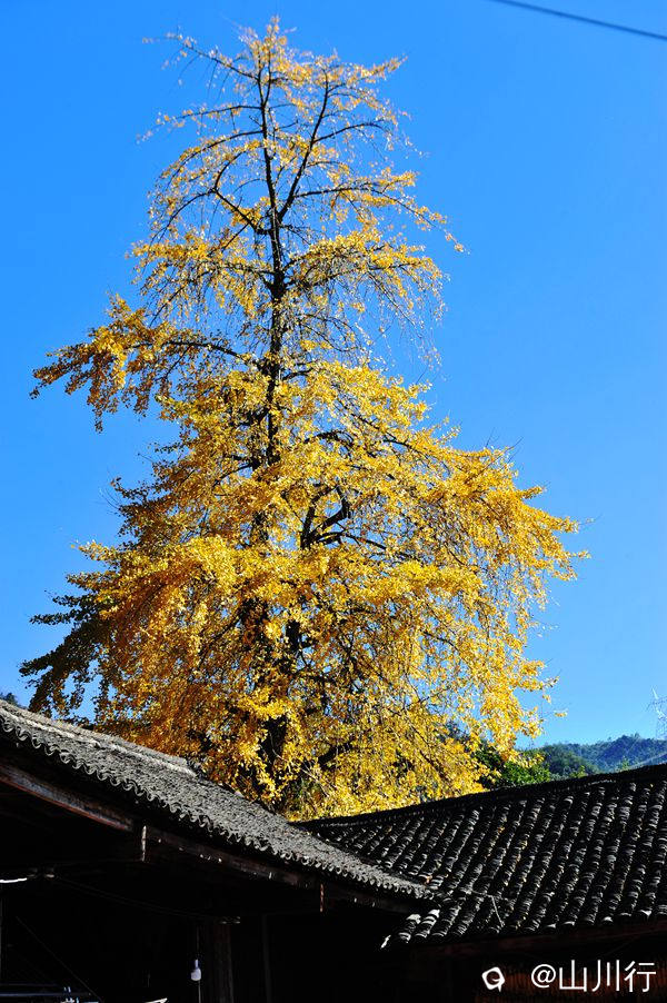 DSC_3866_1.jpg