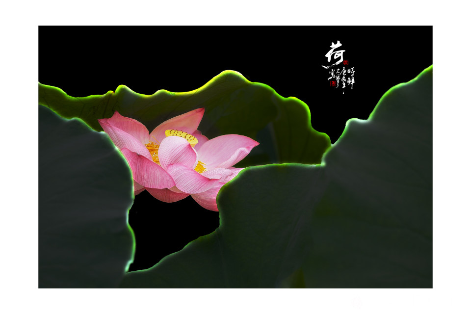 IMG_5103-线条-3000.jpg