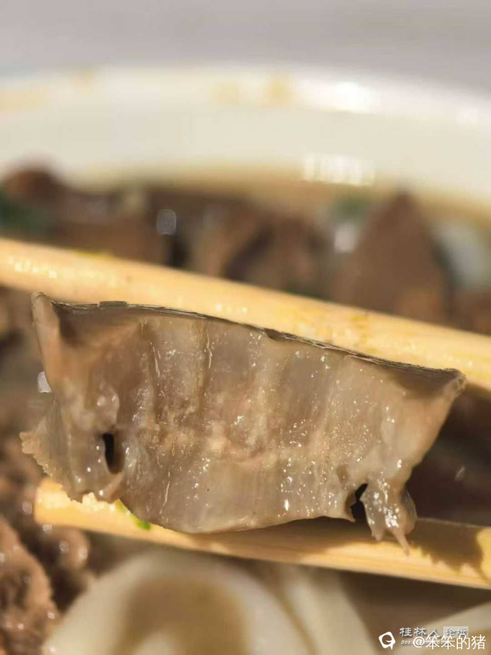 微信图片_2026-02-07_121640_384.jpg