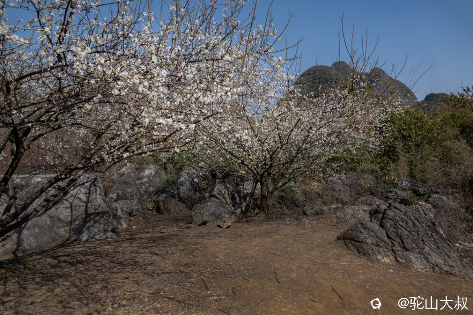 DSC04778-0 - 副本.jpg