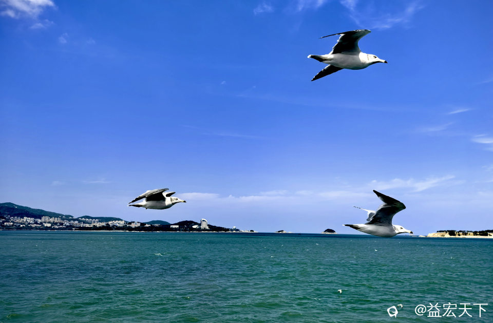 IMG_20260917_123611.jpg