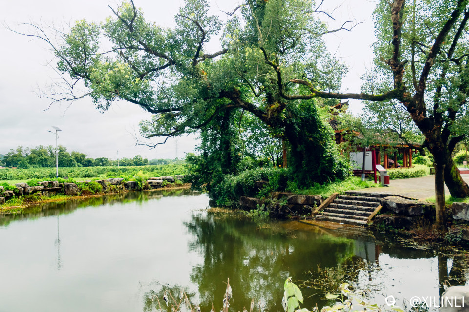 A1.jpg