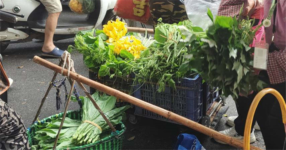 高考在即，把幸福之花装袋