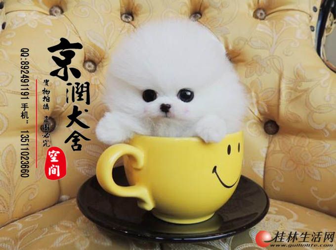 ���������豭Ȯ���� ���������ﹷ�� ��������С��������