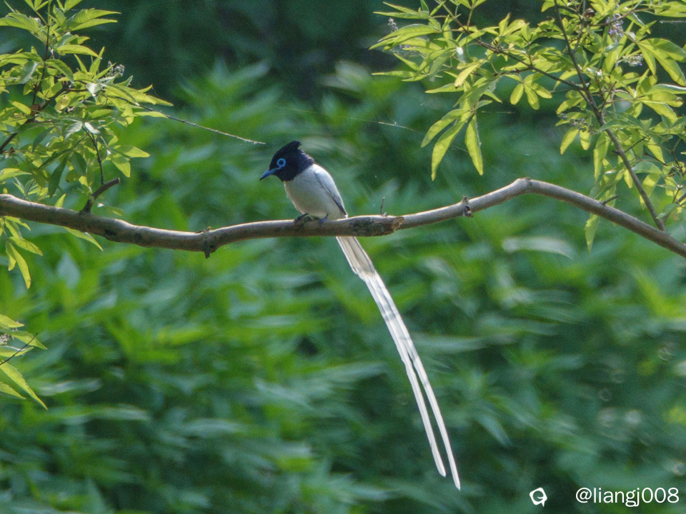DSC07269_副本_副本.jpg