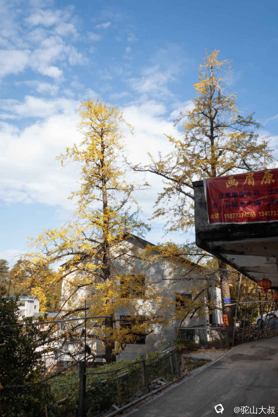 DSC04359-0 - 副本.jpg