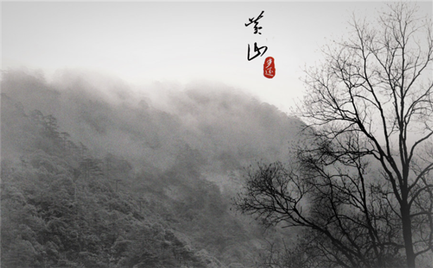 品茶时间