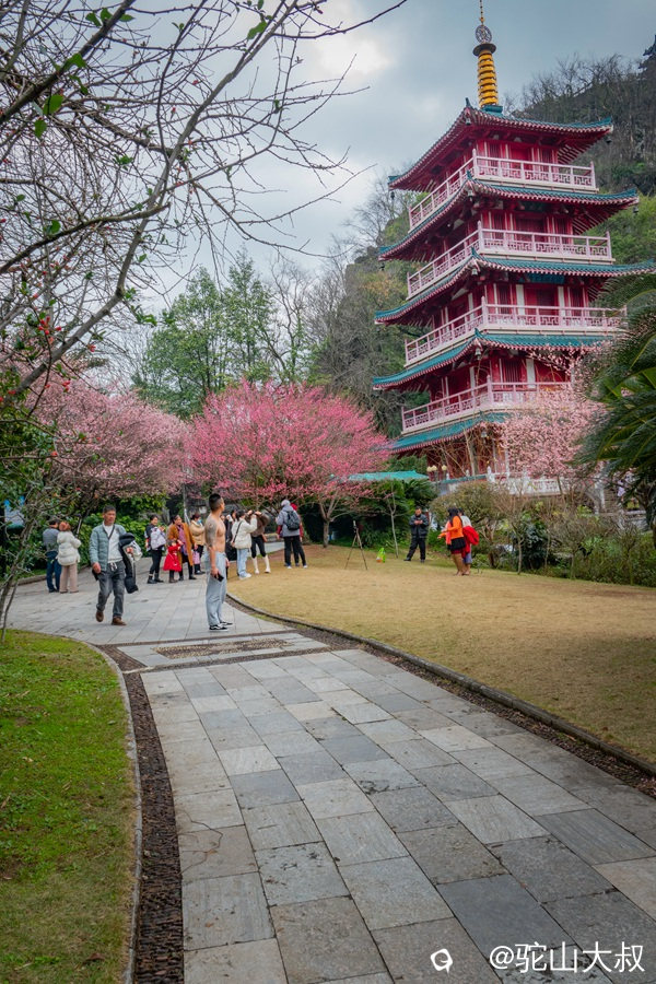 DSC05475-0_副本.jpg
