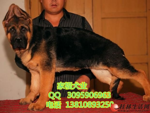 ��ͷ�������� �����������ִ�ϵ����Ȯ �����Ҹ�Ȯҵֱ��������Ȯ