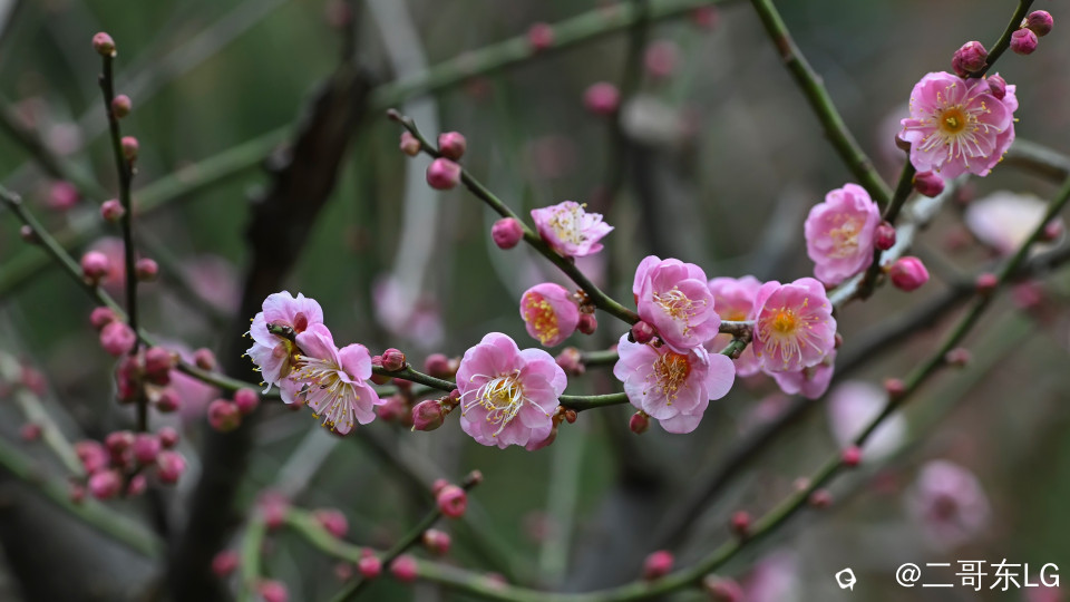 dd (4).jpg