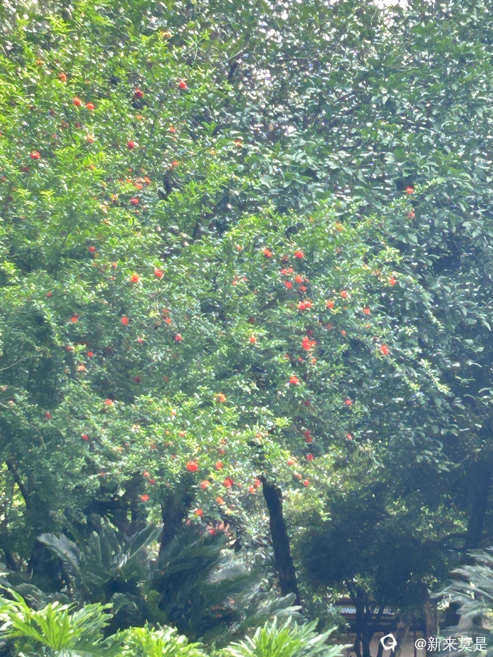 微信图片_20260513183343_302_289.jpg