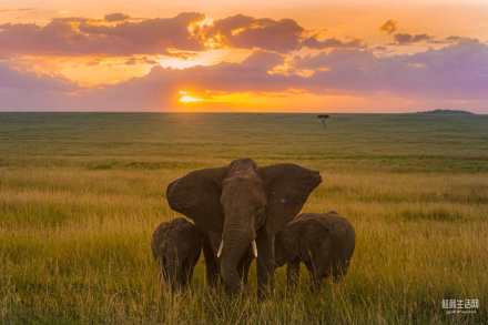 非州是一首永遠寫不完的抒情詩！