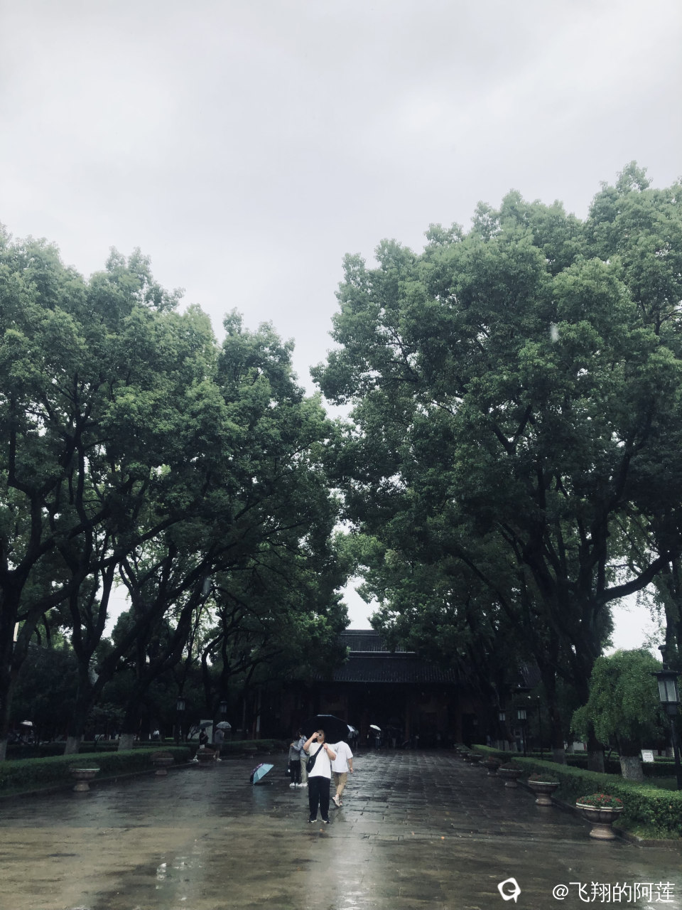 e122c82f53beb6c03d028d5721ae15a.jpg