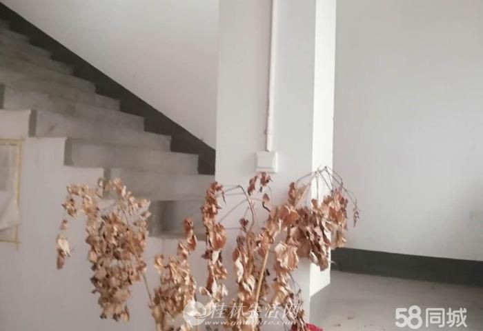 ���껪С����ʽ¥��������