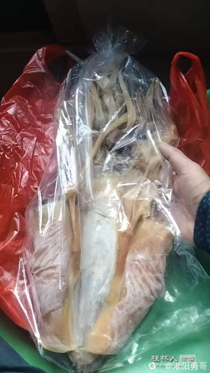 微信图片_20241207152128.jpg