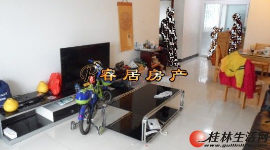 T������ ��¡�³ǡ�Ψһ���塿2��2�� 08�꾫װ 65��