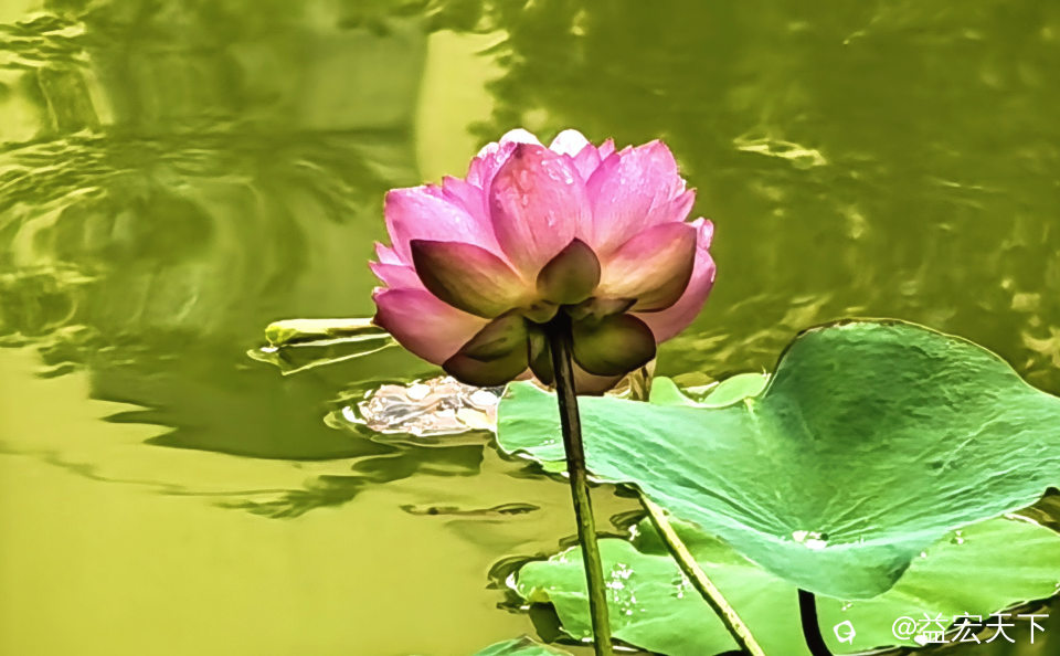 IMG_20260905_105642.jpg