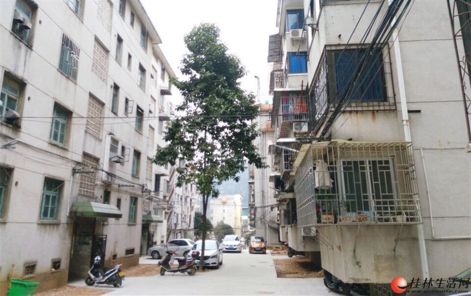 C������ ���ŷ�У������� 2��2�������� 75�O�ɹ��һ������35��