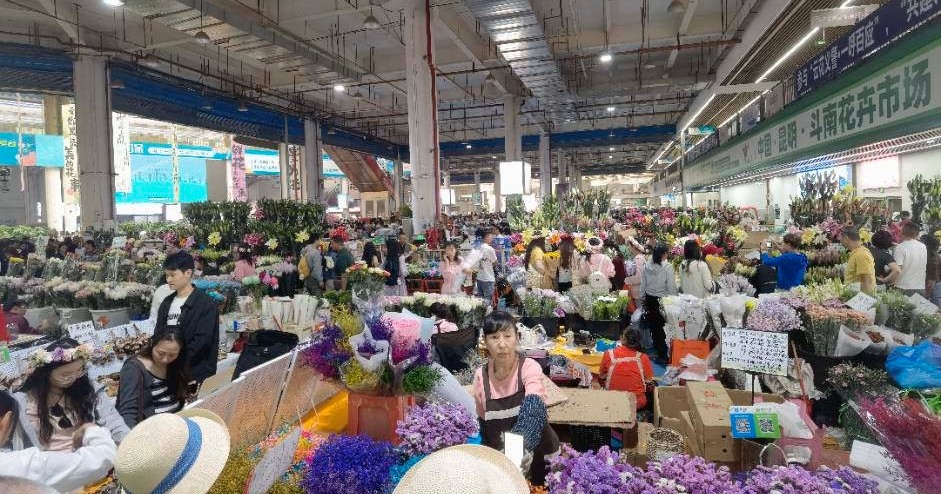 来到花花的世界