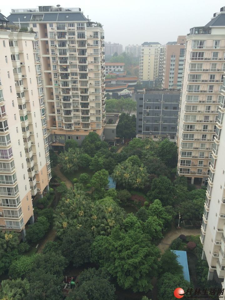 ���黨԰����һ�� ��װ�� ���������ס��ʡ�ģ���
